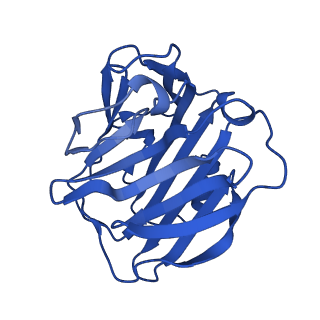 13467_7pkb_B_v1-1
C-reactive protein pentamer at pH 7.5