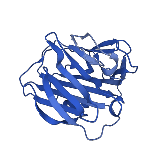 13467_7pkb_C_v1-1
C-reactive protein pentamer at pH 7.5