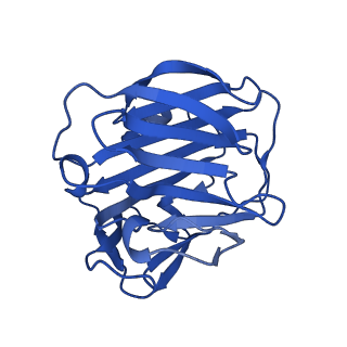13467_7pkb_E_v1-1
C-reactive protein pentamer at pH 7.5