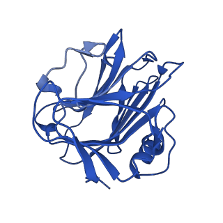 13468_7pkd_A_v1-1
C-reactive protein decamer at pH 7.5 with phosphocholine ligand