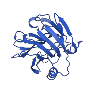 13468_7pkd_E_v1-1
C-reactive protein decamer at pH 7.5 with phosphocholine ligand