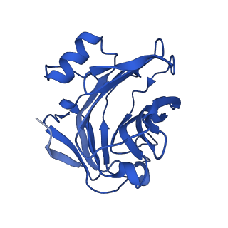 13468_7pkd_F_v1-1
C-reactive protein decamer at pH 7.5 with phosphocholine ligand