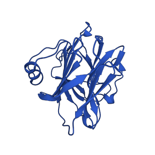 13468_7pkd_J_v1-1
C-reactive protein decamer at pH 7.5 with phosphocholine ligand