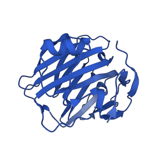 13469_7pke_A_v1-1
C-reactive protein pentamer at pH 7.5 with phosphocholine ligand