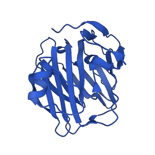 13469_7pke_B_v1-1
C-reactive protein pentamer at pH 7.5 with phosphocholine ligand