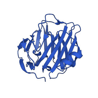 13469_7pke_D_v1-1
C-reactive protein pentamer at pH 7.5 with phosphocholine ligand
