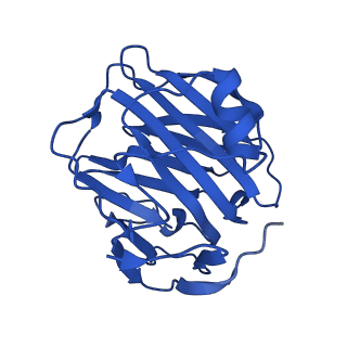 13469_7pke_E_v1-1
C-reactive protein pentamer at pH 7.5 with phosphocholine ligand