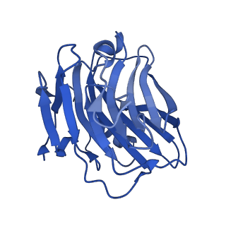 13470_7pkf_A_v1-1
C-reactive protein decamer at pH 5