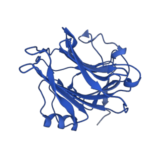 13470_7pkf_C_v1-1
C-reactive protein decamer at pH 5