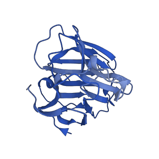 13470_7pkf_E_v1-1
C-reactive protein decamer at pH 5