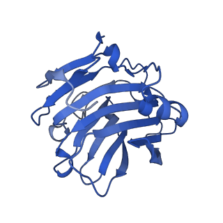 13470_7pkf_G_v1-1
C-reactive protein decamer at pH 5