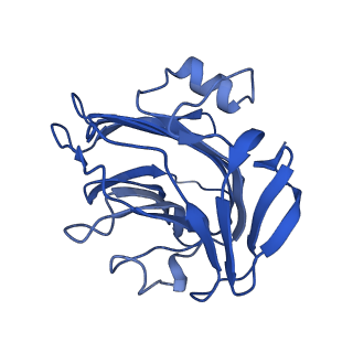 13470_7pkf_I_v1-1
C-reactive protein decamer at pH 5