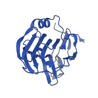 13470_7pkf_J_v1-1
C-reactive protein decamer at pH 5