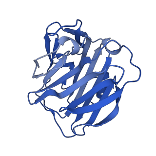 13471_7pkg_A_v1-1
C-reactive protein pentamer at pH 5