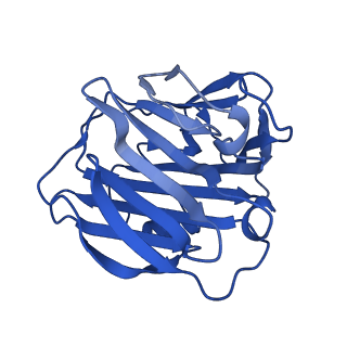 13471_7pkg_B_v1-1
C-reactive protein pentamer at pH 5