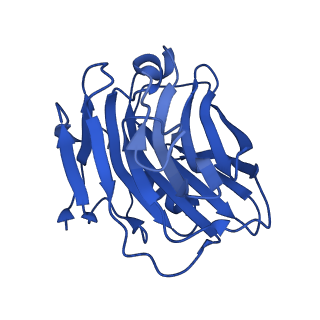 13472_7pkh_A_v1-1
C-reactive protein decamer at pH 5 with phosphocholine ligand