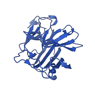 13472_7pkh_B_v1-1
C-reactive protein decamer at pH 5 with phosphocholine ligand