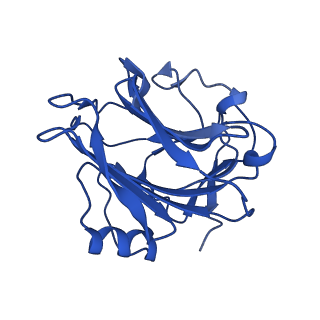 13472_7pkh_C_v1-1
C-reactive protein decamer at pH 5 with phosphocholine ligand
