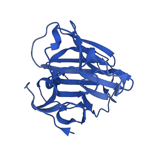 13472_7pkh_E_v1-1
C-reactive protein decamer at pH 5 with phosphocholine ligand