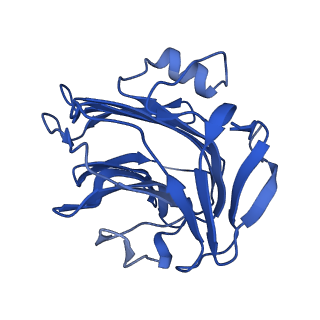 13472_7pkh_I_v1-1
C-reactive protein decamer at pH 5 with phosphocholine ligand