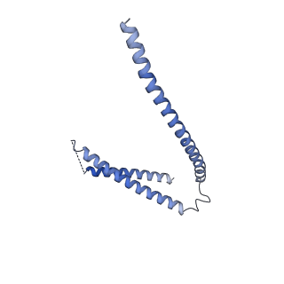 13473_7pkn_H_v1-1
Structure of the human CCAN deltaCT complex