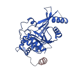 13473_7pkn_L_v1-1
Structure of the human CCAN deltaCT complex