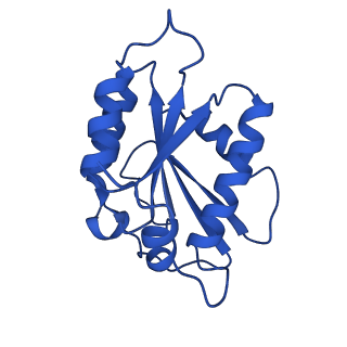 13473_7pkn_M_v1-1
Structure of the human CCAN deltaCT complex