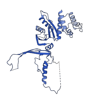13473_7pkn_N_v1-1
Structure of the human CCAN deltaCT complex