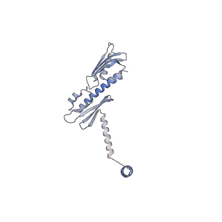 13473_7pkn_O_v1-1
Structure of the human CCAN deltaCT complex