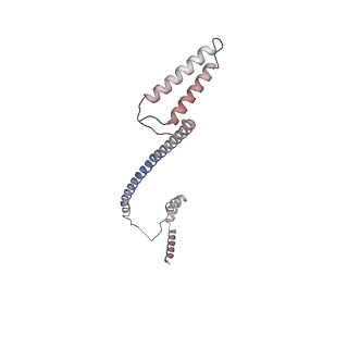 13473_7pkn_Q_v1-1
Structure of the human CCAN deltaCT complex