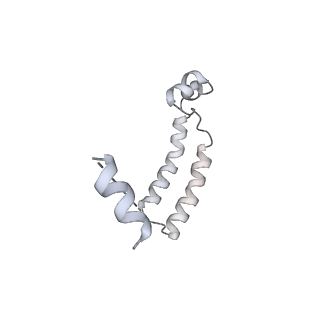 13473_7pkn_R_v1-1
Structure of the human CCAN deltaCT complex