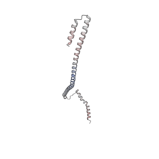 13473_7pkn_U_v1-1
Structure of the human CCAN deltaCT complex