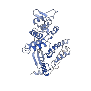 13474_7pko_A_v1-1
CryoEM structure of Rotavirus NSP2