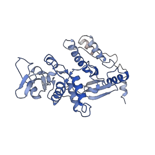 13474_7pko_B_v1-1
CryoEM structure of Rotavirus NSP2
