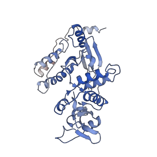 13474_7pko_C_v1-1
CryoEM structure of Rotavirus NSP2