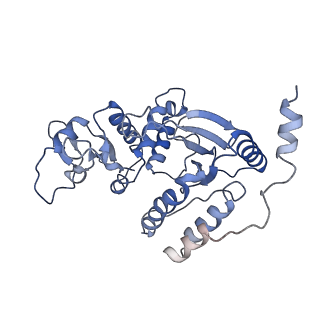 13474_7pko_D_v1-1
CryoEM structure of Rotavirus NSP2