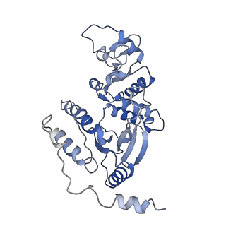 13474_7pko_E_v1-1
CryoEM structure of Rotavirus NSP2