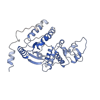 13474_7pko_F_v1-1
CryoEM structure of Rotavirus NSP2