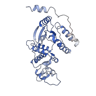 13474_7pko_G_v1-1
CryoEM structure of Rotavirus NSP2