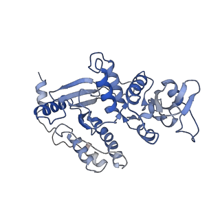 13474_7pko_U_v1-1
CryoEM structure of Rotavirus NSP2