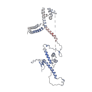 13477_7pkq_C_v1-0
Small subunit of the Chlamydomonas reinhardtii mitoribosome