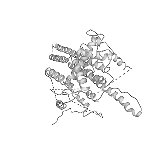 13477_7pkq_D_v1-0
Small subunit of the Chlamydomonas reinhardtii mitoribosome