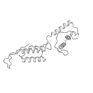 13477_7pkq_K_v1-0
Small subunit of the Chlamydomonas reinhardtii mitoribosome