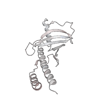 13477_7pkq_L_v1-0
Small subunit of the Chlamydomonas reinhardtii mitoribosome
