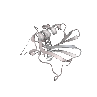 13477_7pkq_M_v1-0
Small subunit of the Chlamydomonas reinhardtii mitoribosome