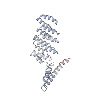 13477_7pkq_O_v1-0
Small subunit of the Chlamydomonas reinhardtii mitoribosome