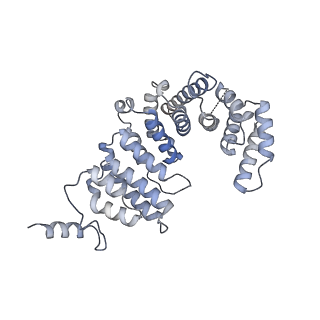 13477_7pkq_P_v1-0
Small subunit of the Chlamydomonas reinhardtii mitoribosome