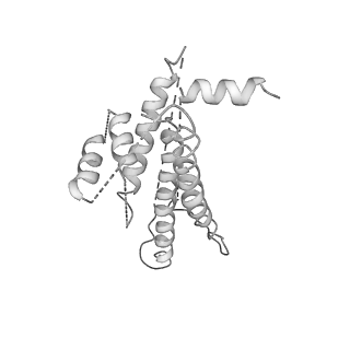 13477_7pkq_V_v1-0
Small subunit of the Chlamydomonas reinhardtii mitoribosome