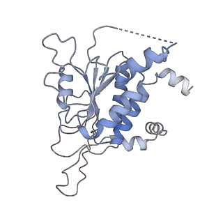 13477_7pkq_b_v1-0
Small subunit of the Chlamydomonas reinhardtii mitoribosome
