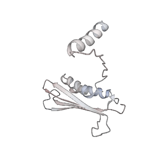 13477_7pkq_c_v1-0
Small subunit of the Chlamydomonas reinhardtii mitoribosome